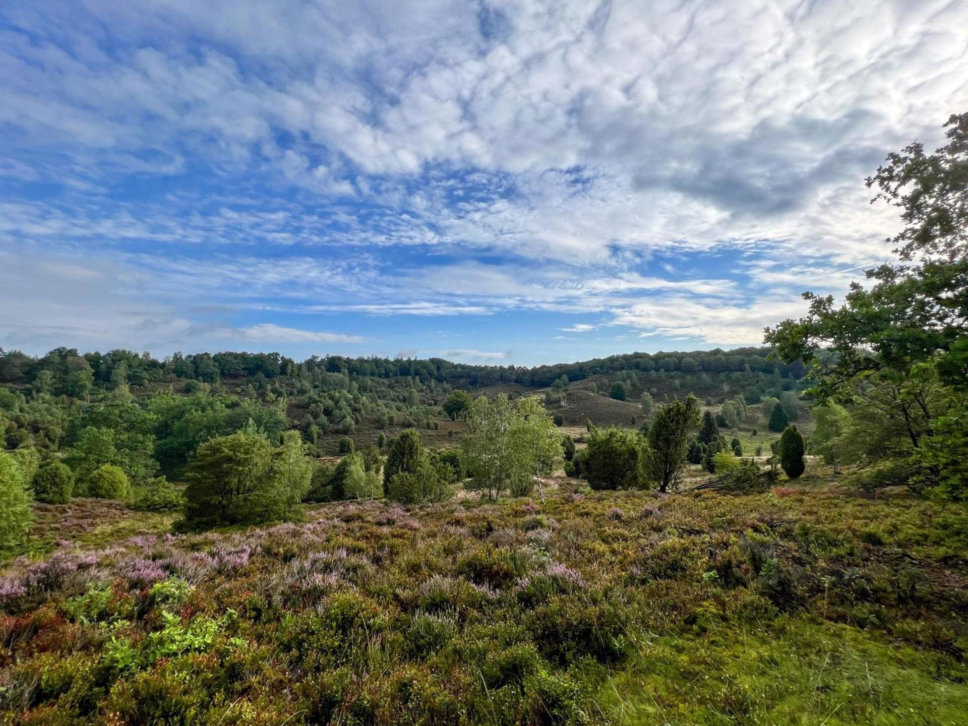 ビスピンゲン Heidehof Oberhaverbeckヴィラ エクステリア 写真